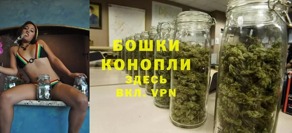 винт Алексеевка