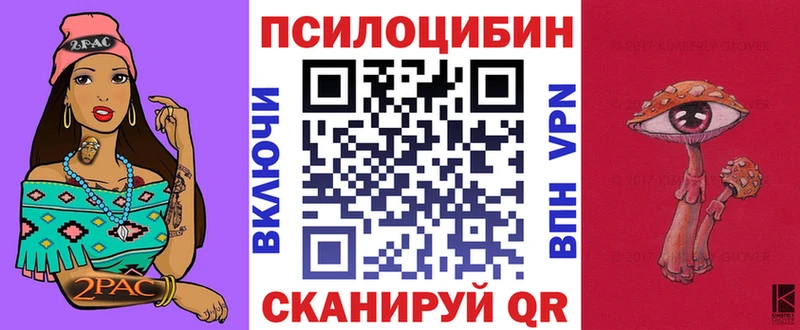 где продают   Староминская  Псилоцибиновые грибы MAGIC MUSHROOMS 